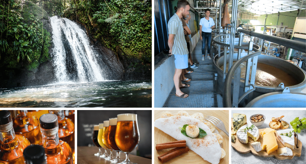 excursion croisiériste en guadeloupe cascade aux écrevisse saveurs de guadeloupe