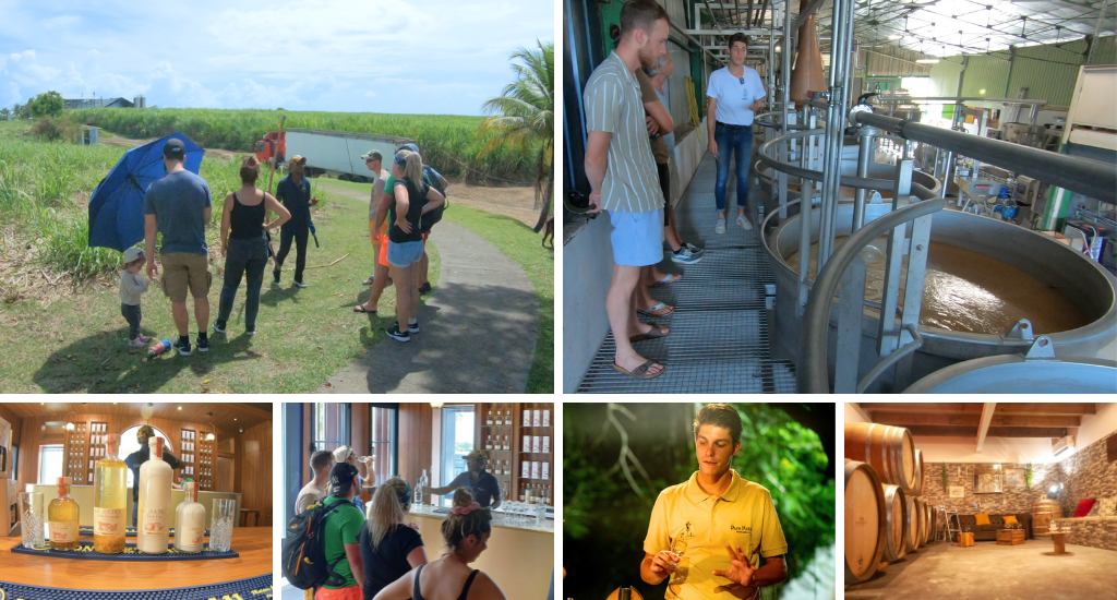 excursion distillerie guadeloupe, visite guidée distillerie guadeloupe, dégustation rhums agricoles, rhums agricoles de guadeloupe,