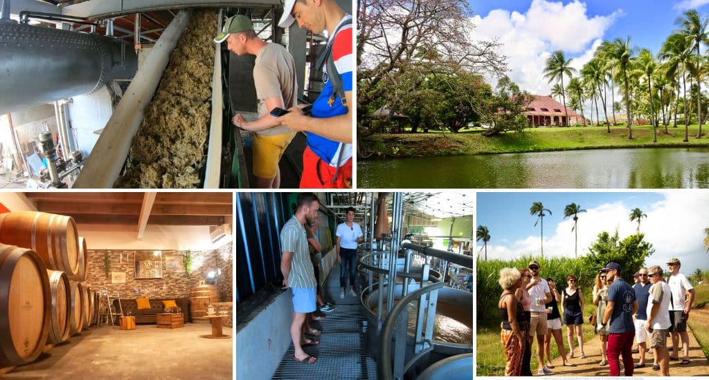 excursion distillerie guadeloupe, visite guidée distillerie guadeloupe, dégustation rhums agricoles, rhums agricoles de guadeloupe,
