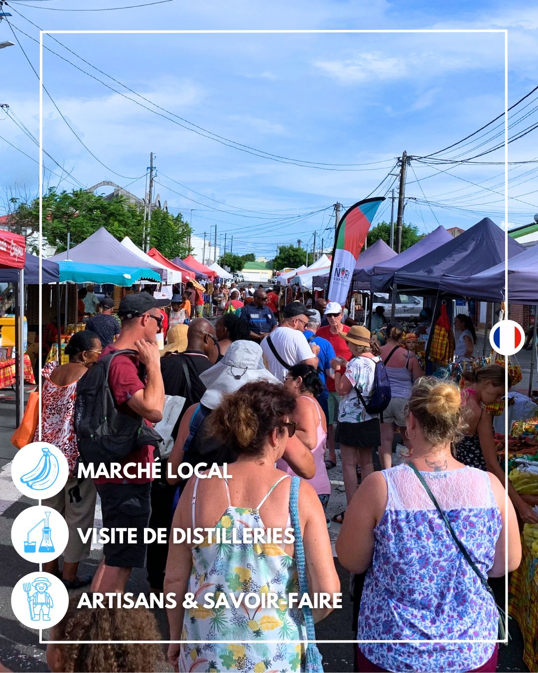 visite guidée le moule grande-terre, visite guidée marché local, marchés local guadeloupe, visite marché du moule,
