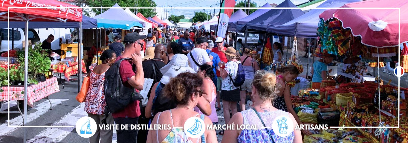 visite guidée le moule grande-terre, visite guidée marché local, marchés local guadeloupe, visite marché du moule,