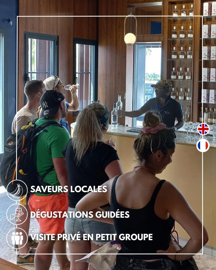 visite guidée disillerie de rhum en guadeloupe