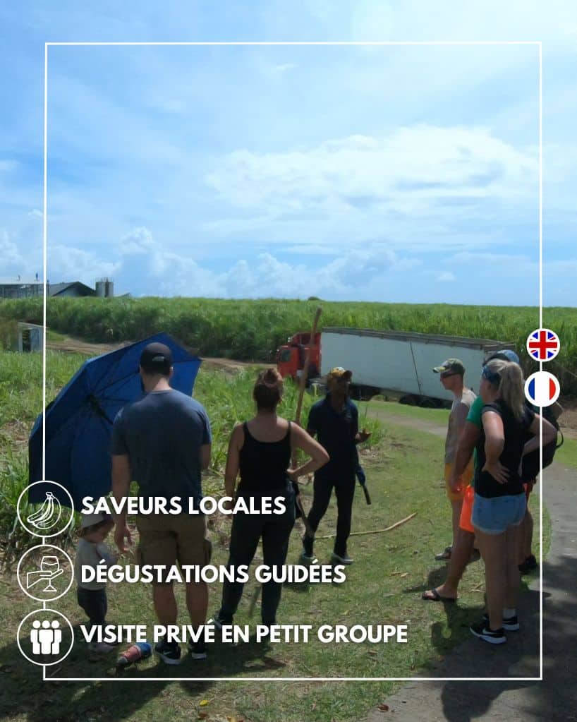 visité guidée distillerie en guadeloupe