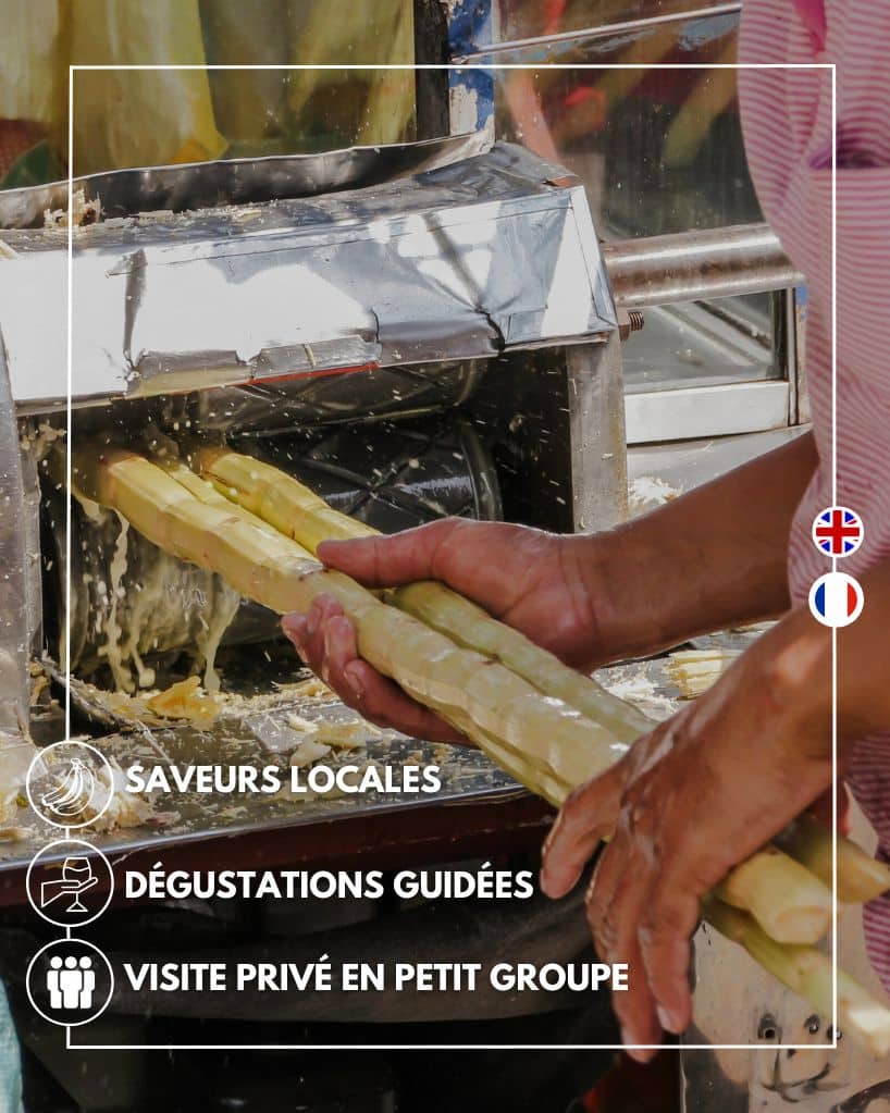 histoire de la canne à sucre guadeloupe